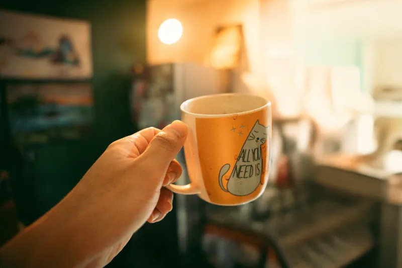 From the First Sip: How Chai Quietly Rewired the Way These Americans Live